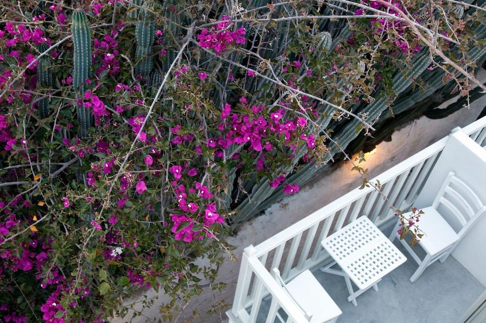 Fresh Boutique Hotel Mykonos Town Eksteriør billede